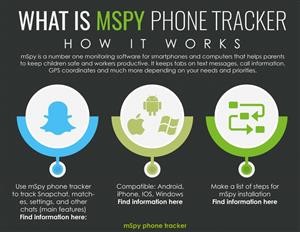 Mspy Viber