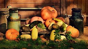 Erfahrungen Mit Mspy Bei Android Handy