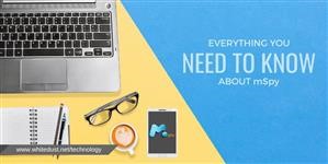 Mspy Whatsapp Tracker