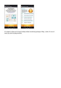 Mspy Iphone Alternative